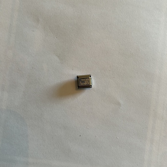 ZOPPINI (nomination) 2/$25 BEST bracelet link - Picture 4 of 6